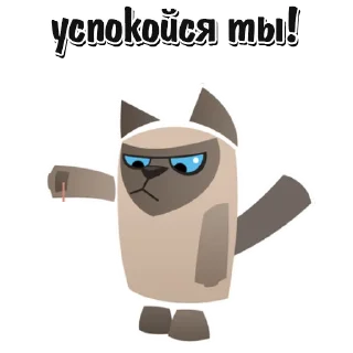 🐱