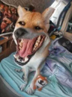 😄
