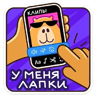 😎