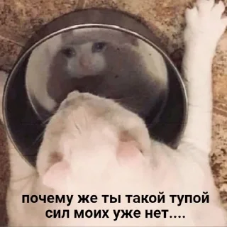 😞