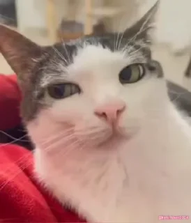 🤨