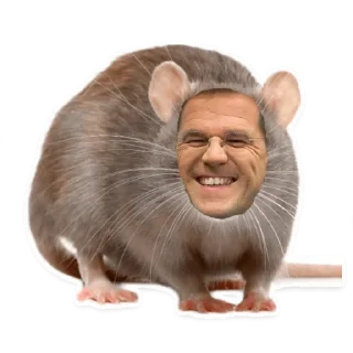 🐀