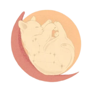 Aawww