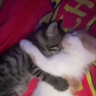 💋