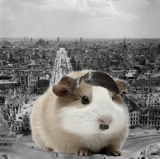 🐹