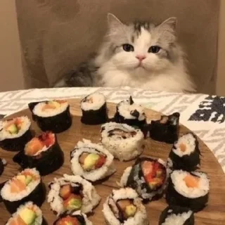 🍣