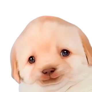 ☺️