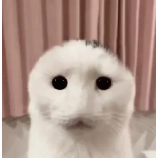 ☃️