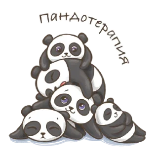 🐼