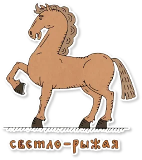 🐎