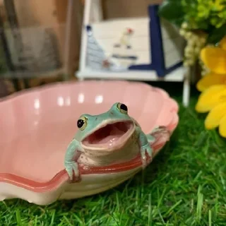 🙂