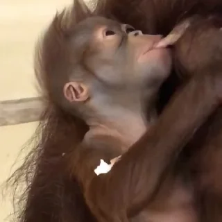 🤤