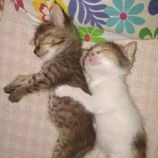 💗