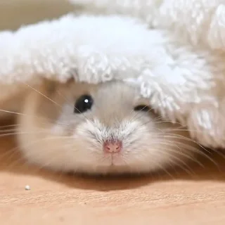😉