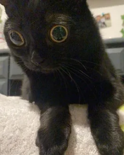 😳