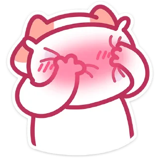 🐱