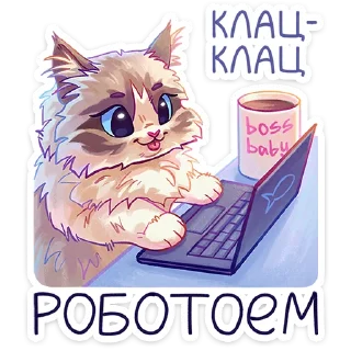 💻