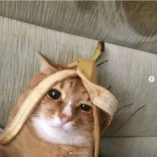 😐
