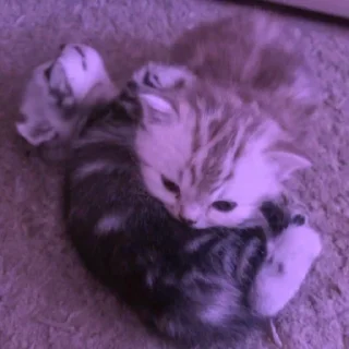 💜