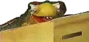 🐝