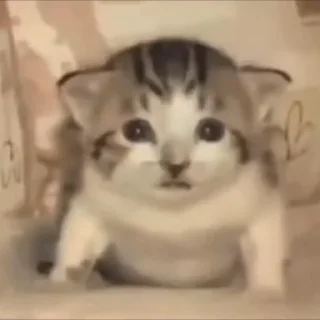 🤯