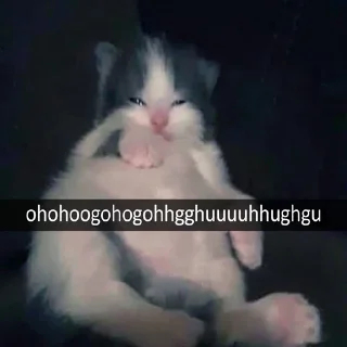 🥲