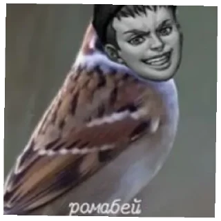Бухой Зайчик