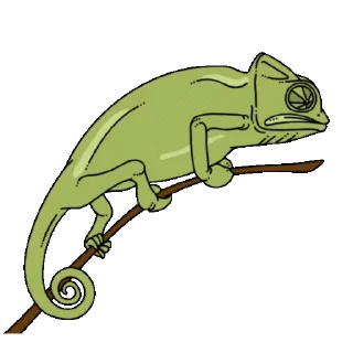 🦎