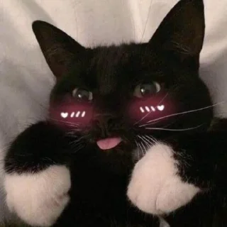 😛