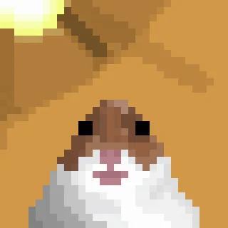 🐹