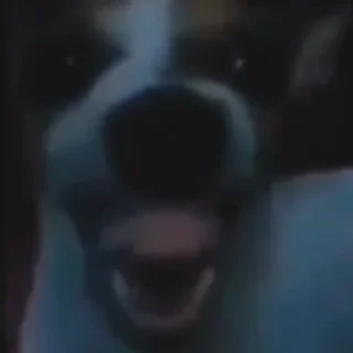 😆