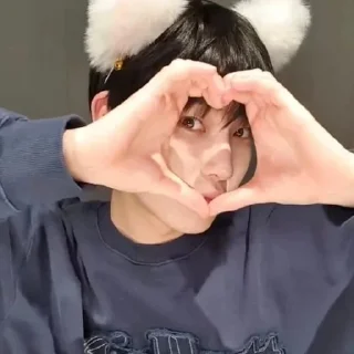 😽