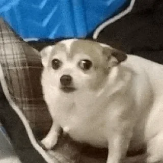 😶‍🌫️