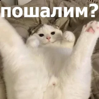 😏