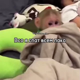 👋
