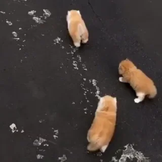 😎