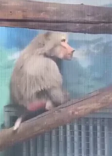 😰