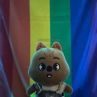 🏳️‍🌈