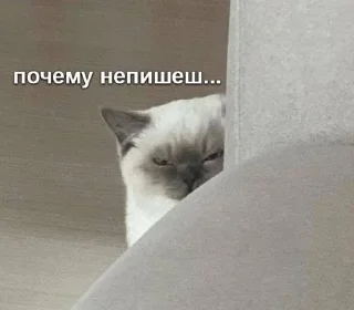 🤨