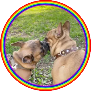 🌈
