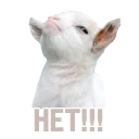 👎
