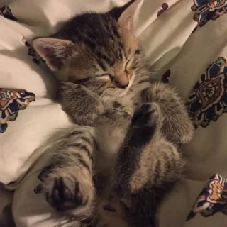 💓