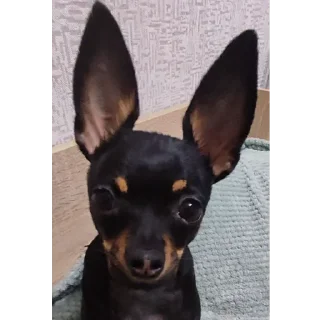 😐