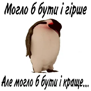 🐧