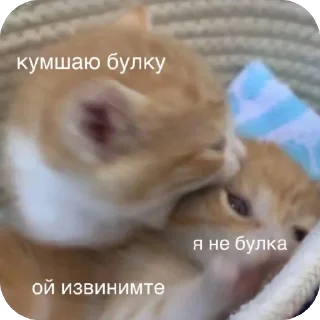 🥰
