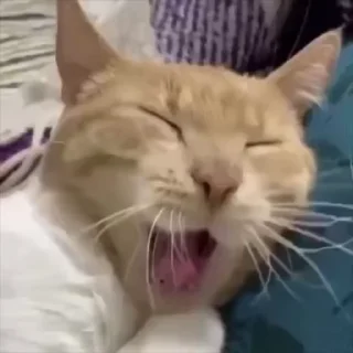 🥱