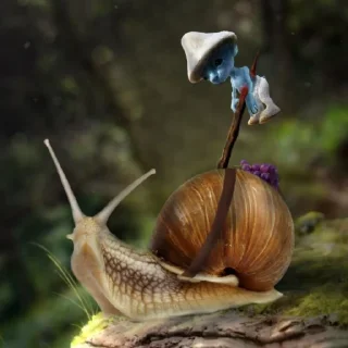 🐌