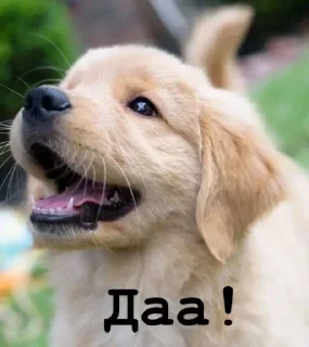 👍