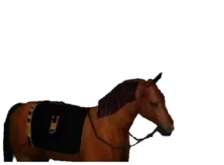 🐎