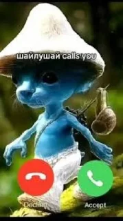 🐱